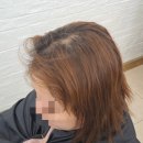 자꾸헤어 이미지