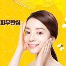 끌레지오