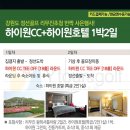 하이원 여행사