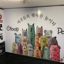 굿독(Good Dog) 이미지