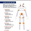 살빼고점핑다이어트