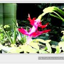 어느봄날 이미지