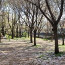 월드케어 이미지