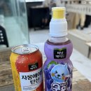 냥이의하루 카페.분양 이미지