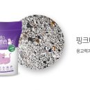 핑크바바 이미지