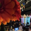 정류장 | 이태원 술집 추천 레트로 감성 가득한 실내포차 이태원 정류장 후기