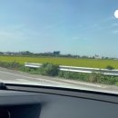 신2리마을회관 이미지