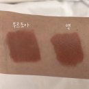 트라이벨벳 이미지