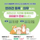 10 이미지