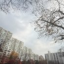 풍납현대아파트105동 이미지