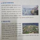 할렐루야수퍼~보배아파트 입구 | 부산 해운대의 풍경