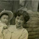 천원나라 이미지
