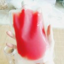 레인보우 씨드