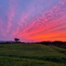 환상의노을 이미지