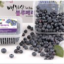 태천농장 이미지