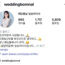 블론디헤어 - 서귀포시 대청로 12 | W20. 플래너 본식 후기, 웨딩 봄날 임승아 이사님😊❤ㅣ지인 할인O