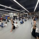 퍼펙트태권도 이미지