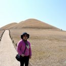 송학동-04 이미지