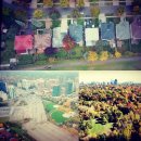 욜로인 게스트 하우스 이미지