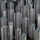 MK부동산중개사무소 이미지