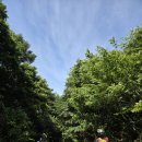 biking tour 편백4종set 이미지
