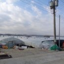 대곡면-6 이미지