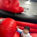 아이베스트태권도 | 아이베스트 태권도 에어바운스 파티 후기🎈