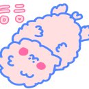 평화유치원 이미지