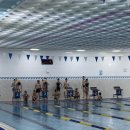 스윔(SWIM)21 네이버블로그
