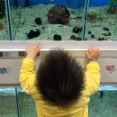 정문호소아과의원 이미지