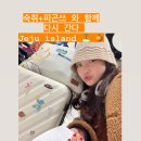 빵집(BBANG ZIP) | DAY 37~38 '두 달 살이의 시작은?' [타코봉/마음의실루엣/플로깅/호미/쁘라갸요가원]