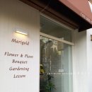 메리골드shop 이미지