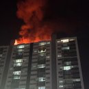 사하구-25 이미지