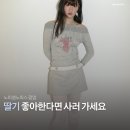 NF001 | 이틀만 노피셜노피스 팝업! 럭키백부터 단독 재입고까지, 추천템 정리