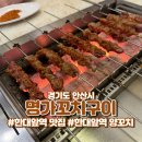 명가양꼬치 | [경기도 안산시] 한대앞역 연말 모임으로 추천하는 양꼬치 맛집 명가 꼬치구이 내돈내산 후기