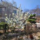 동하펜션 | [이천펜션]서울근교 독채펜션 추천, 이천 동하펜션 가족여행 숙소 후기