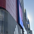 하이코코 | 홍대 피부과 하이코 시술 후기｜자연스러운 코라인 변화를 느낀 리얼 경험