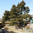여주-0157 네이버블로그