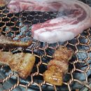토지촌