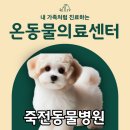 온동물의료센터 이미지