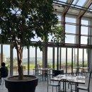 상애농장 | 상하농원 파머스빌리지 조식(2일 이용 후기)