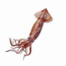 오징어PC방 이미지