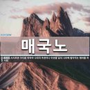 매국노賣國奴 이미지
