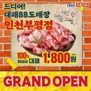 88대패