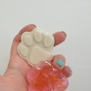 아르떼퍼피 이미지