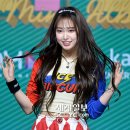 포토조아 이미지
