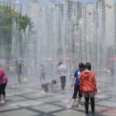 환호해맞이공원 이미지