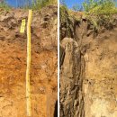 리버벨리 이미지