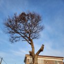 일죽초등학교 | 경기둘레길 39코스(광천마을정류소~칠장사)