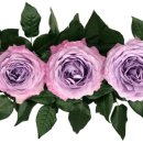 bouquet 이미지